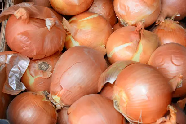 Spanien Marknad Färsk Frukt Grönsaker Lök — Stockfoto