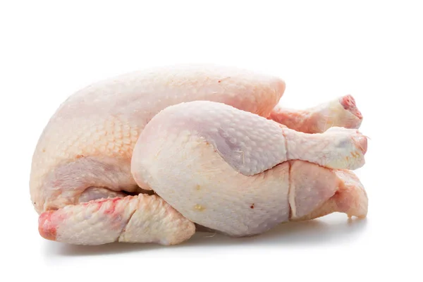 白地に隔離された鶏の生 — ストック写真