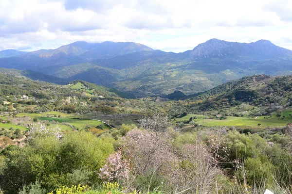 Ronda Jest Górskim Miastem Prowincji Malaga Położonym Nad Głębokim Wąwozem — Zdjęcie stockowe