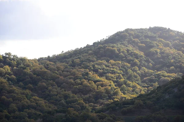 Paisaje Montaña Con Hierba Verde Cielo Azul — Foto de Stock