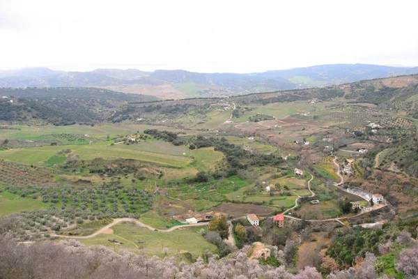 Vue Sur Les Collines Des Montagnes Été — Photo