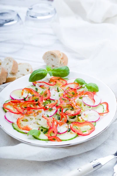 Frischer Frühlingssalat Mit Gurken Rettich Und Paprika — Stockfoto
