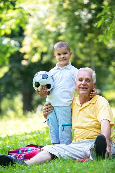 Abuelo Anciano Feliz Niño Parque Usando Ordenador Portátil —  Fotos de Stock