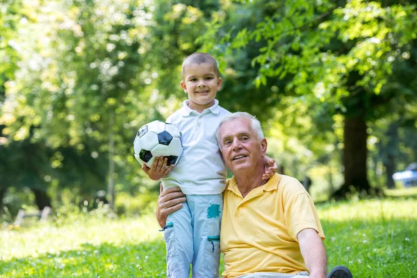 Abuelo Anciano Feliz Niño Parque Usando Ordenador Portátil —  Fotos de Stock