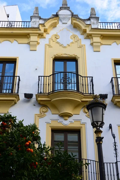 Utsikt Över Staden Husväggar Jerez Frontera Spanien — Stockfoto