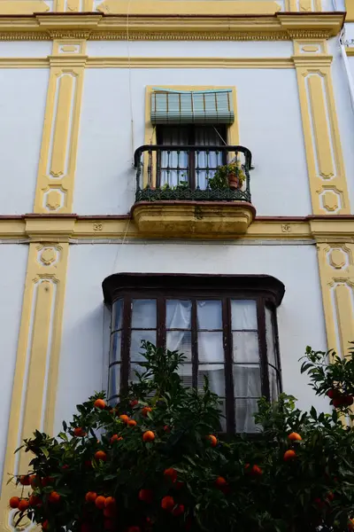 Stadtansichten Τοίχοι Σπιτιών Jerez Frontera Ισπανία — Φωτογραφία Αρχείου