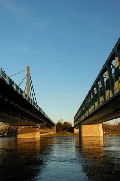 Γέφυρες Ρινόκερου Στο Maxau Baden Maximiliansau Pfalz — Φωτογραφία Αρχείου