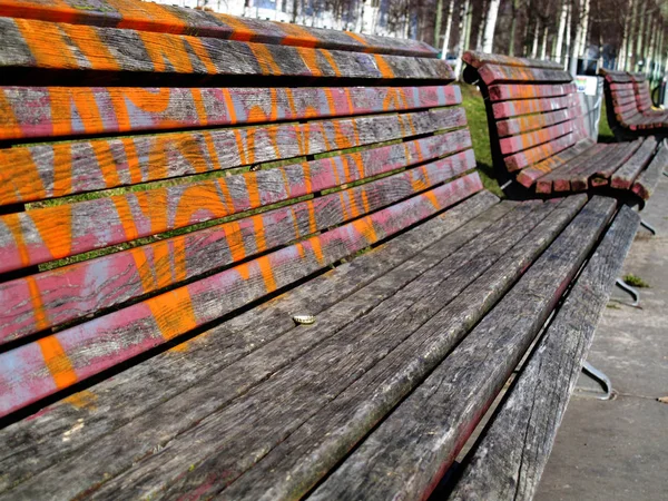 Panca Legno Nel Parco — Foto Stock