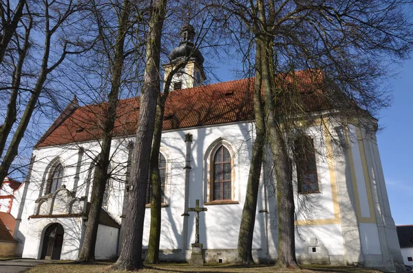 Kyrka Barock Borovany Bohemia Czech Republik — Stockfoto