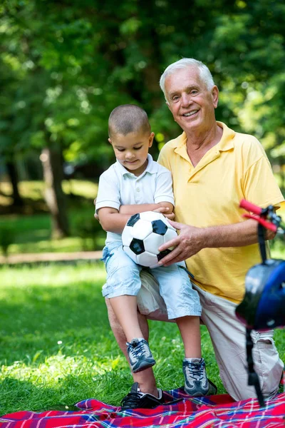 Feliz Abuelo Niño Divierten Juegan Parque Hermoso Día Soleado —  Fotos de Stock