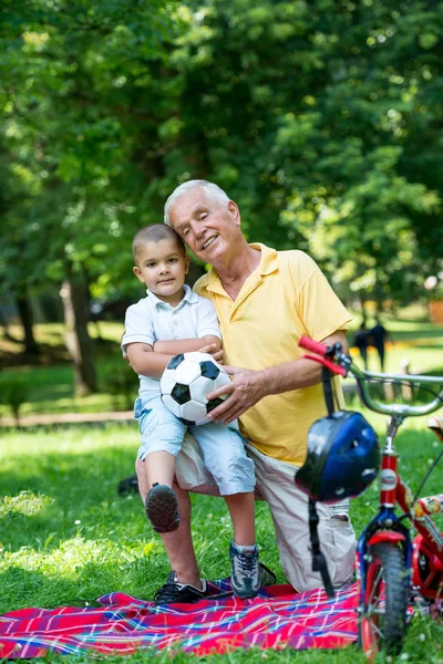 Feliz Abuelo Niño Divierten Juegan Parque Hermoso Día Soleado —  Fotos de Stock