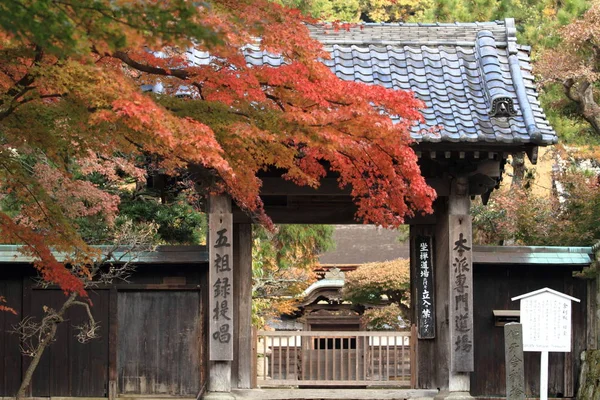 Φθινόπωρο Φεύγει Στο Ναό Engaku Στην Kamakura Ιαπωνία — Φωτογραφία Αρχείου