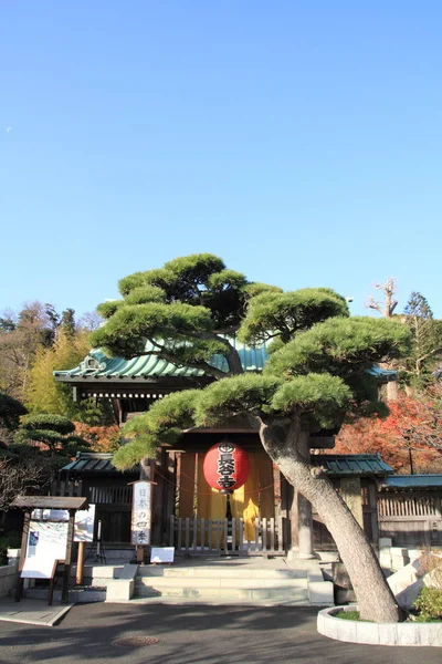 鎌倉時代の長谷寺門 — ストック写真