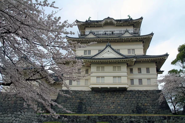 Castillo Odawara Flores Cerezo —  Fotos de Stock