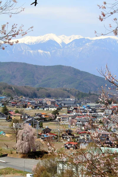 Třešňové Květy Takato Nagano Japonsko — Stock fotografie