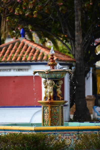 Aves Baño Fuente Primaveral España — Foto de Stock