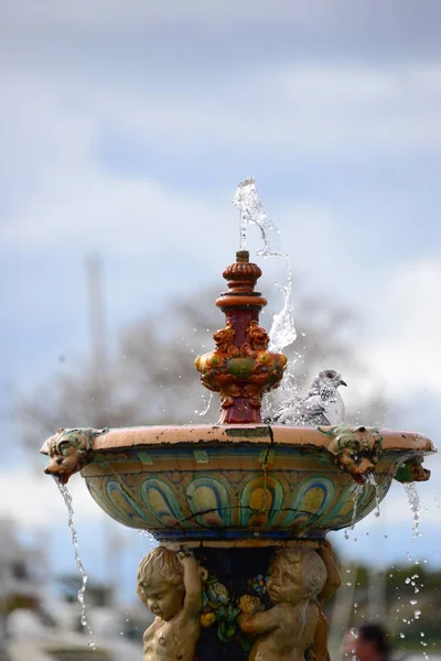 春天喷泉中的沐浴鸟 西班牙 — 图库照片