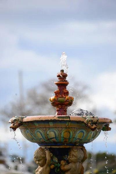 Baignade Des Oiseaux Dans Fontaine Espagne — Photo