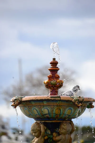 Baignade Des Oiseaux Dans Fontaine Printemps Espagne — Photo
