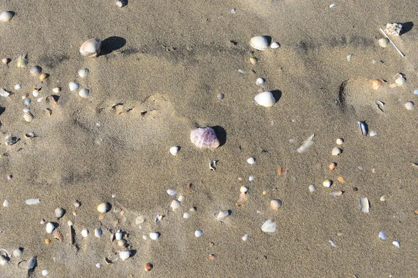 Spanya Deniz Kenarı — Stok fotoğraf