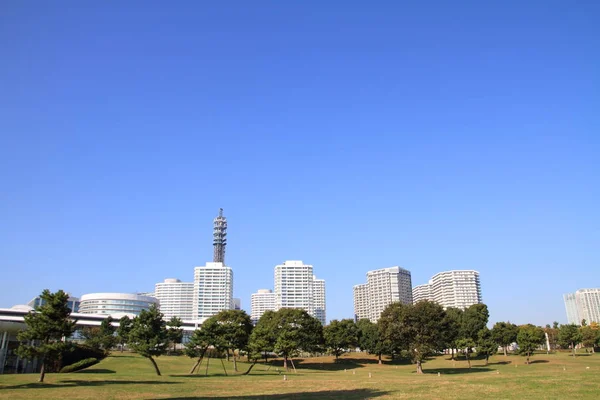 Vue Panoramique Sur Majestueuse Ville Urbaine — Photo