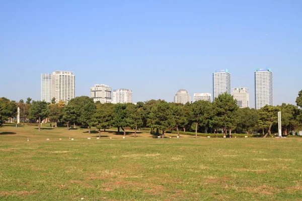 Condominio Gran Altura Yokohama Japón — Foto de Stock