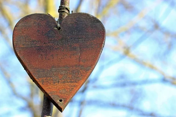 Bunter Hintergrund Für Valentinstag Karte — Stockfoto