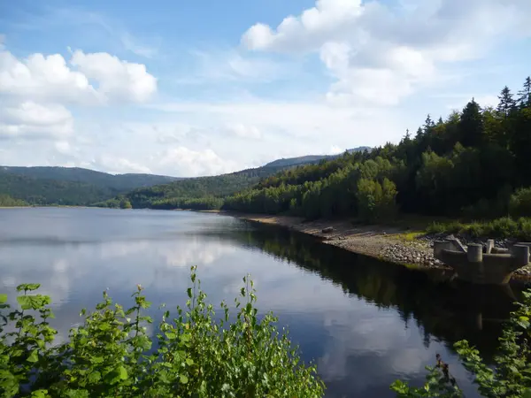 Vackert Landskap Med Älv Våren Sommar Sjö Med Reflektion — Stockfoto