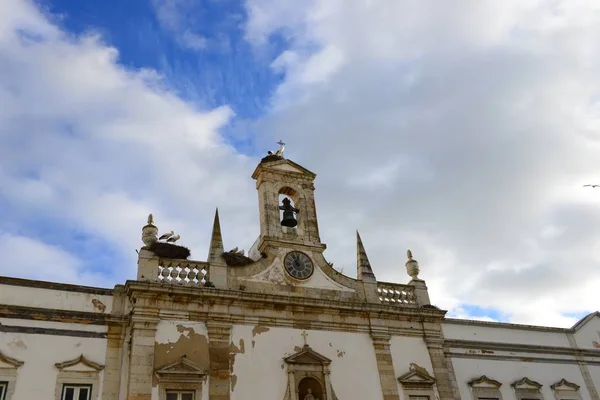 Casa Fachadas Cigüeñas Faro Portugal — Foto de Stock