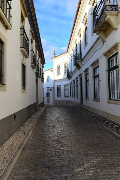 Casa Fachadas Cigüeñas Faro Portugal —  Fotos de Stock