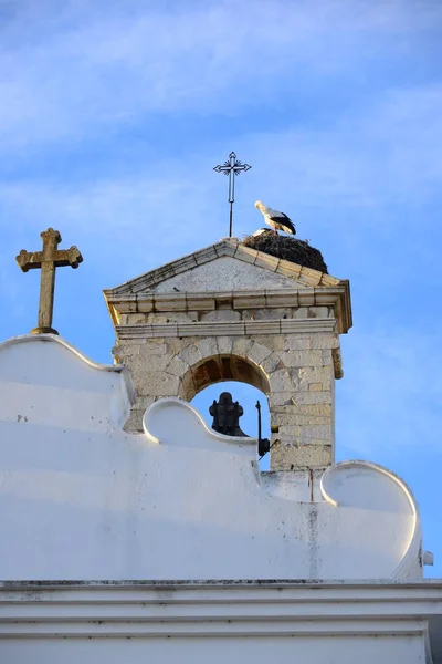 Faro Daki Cephesi Leylekler Portekiz — Stok fotoğraf