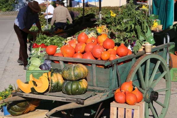 Autumn Harvest Selective Focus — Stock Photo, Image