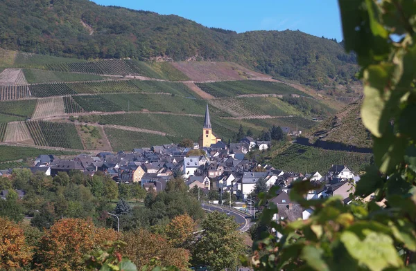 Flygfoto Över Vingårdarna Lane Switzerland — Stockfoto