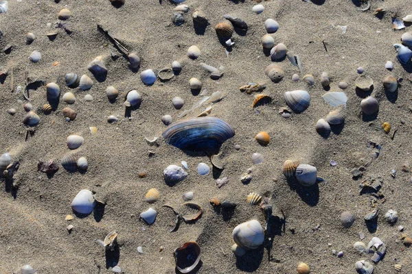 Praia Areia Junto Mar — Fotografia de Stock