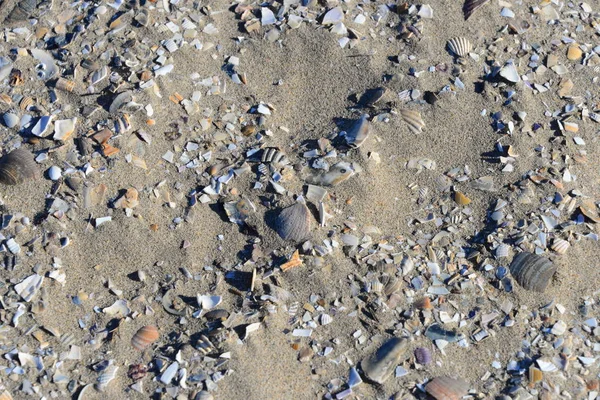 Spiaggia Sabbia Riva Mare — Foto Stock