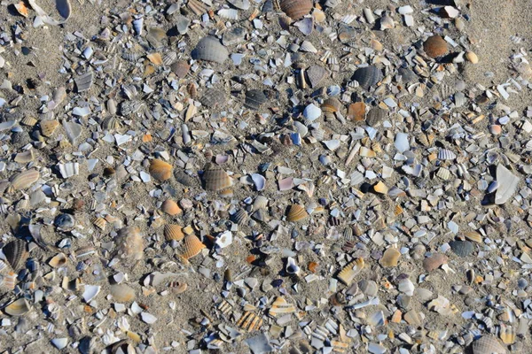 Scenic View Seaside Selective Focus — Stock Photo, Image