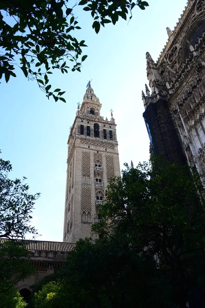 Seville Katedrális Spanyol Város Andalúzia Autonóm Régióban — Stock Fotó