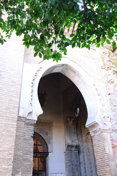 Cathédrale Séville Ville Espagnole Dans Région Autonome Andalousie — Photo