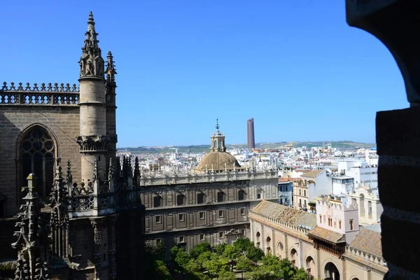 Katedralen Sevilla Spanska Staden Den Autonoma Regionen Andalusien — Stockfoto