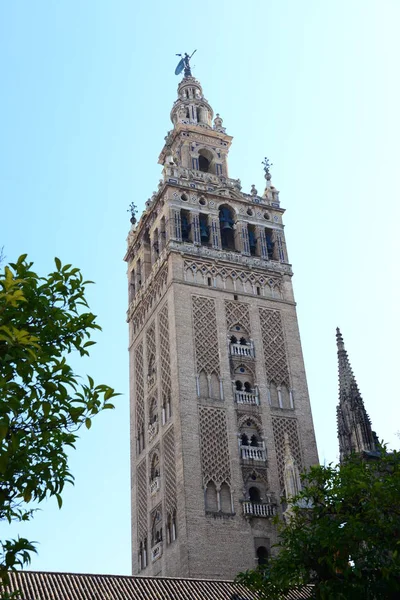 Spanya Nın Endülüs Özerk Bölgesi Ndeki Seville Katedrali — Stok fotoğraf