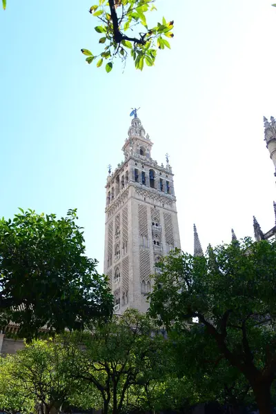 Seville Katedrális Spanyol Város Andalúzia Autonóm Régiójában — Stock Fotó