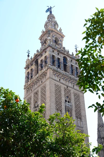 Catedral Seville Ciudad Española Comunidad Autónoma Andalucía —  Fotos de Stock