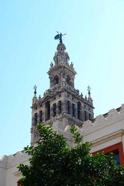 Spanya Nın Endülüs Özerk Bölgesi Ndeki Seville Katedrali — Stok fotoğraf