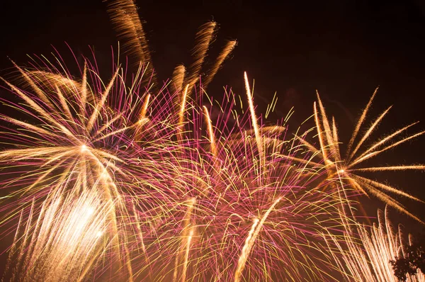 Fogos Artifício Feliz Ano Novo Céu — Fotografia de Stock