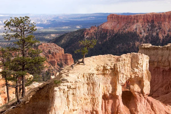 Bryce Canyon Utah Verenigde Staten — Stockfoto