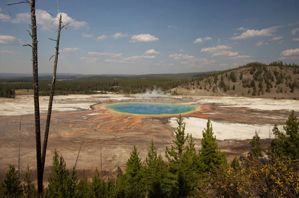 Parque Nacional Yellowstone Utah Uso — Foto de Stock