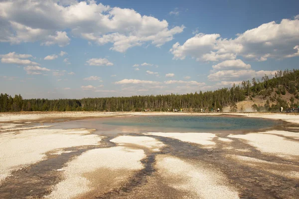 Parque Nacional Yellowstone Utah Uso — Foto de Stock