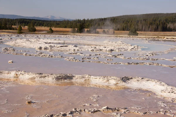 Parque Nacional Yellowstone Utah Uso — Foto de Stock