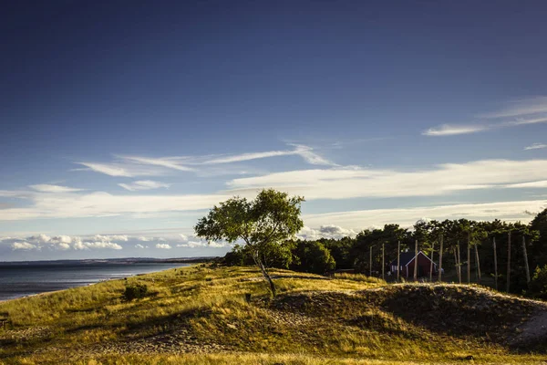 Küstenlandschaft Mit Baum Und Schwedenhaus — Stockfoto