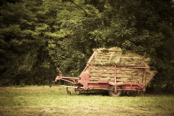 Hooiwagens Het Gazon Voor Het Bos Met Kleureffect — Stockfoto